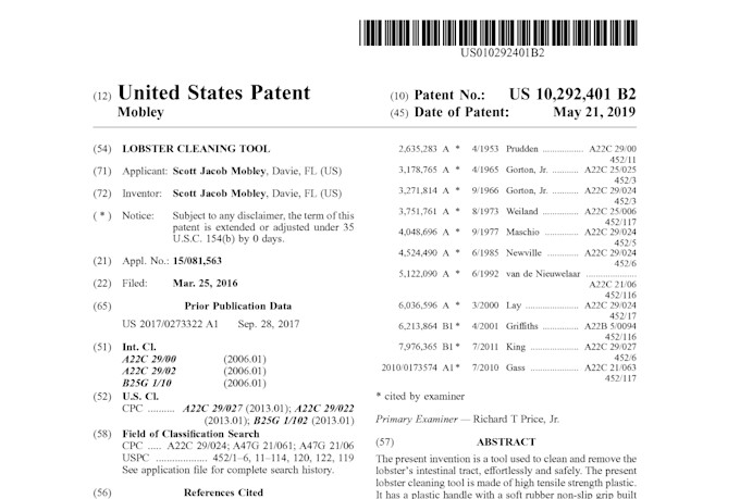 patent search your idea and draft a patent application